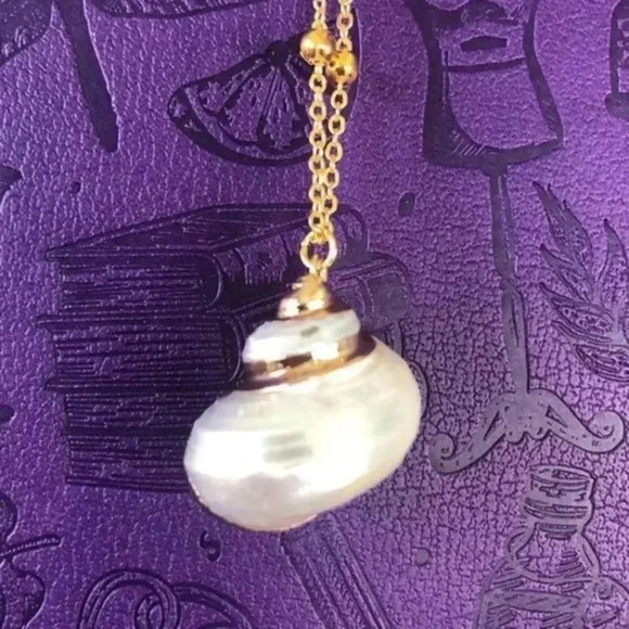 Real Seashell 4 Gold Plated Necklace NWT - Picture 1 of 4